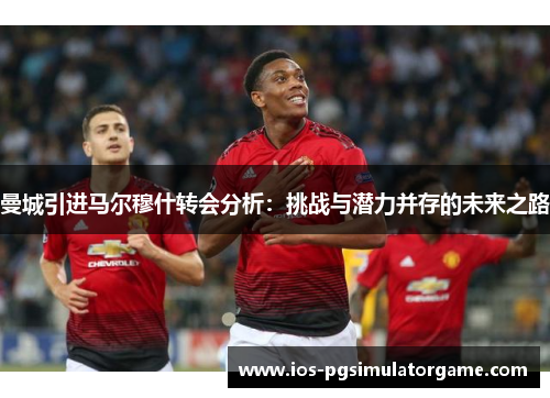 曼城引进马尔穆什转会分析：挑战与潜力并存的未来之路