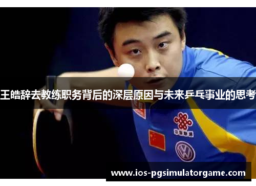 王皓辞去教练职务背后的深层原因与未来乒乓事业的思考