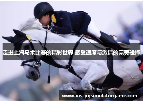 走进上海马术比赛的精彩世界 感受速度与激情的完美碰撞
