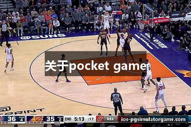 关于pocket game